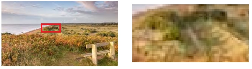 Pixellation