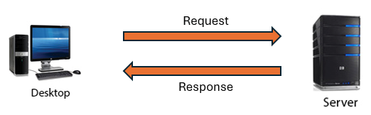 Client Server Model